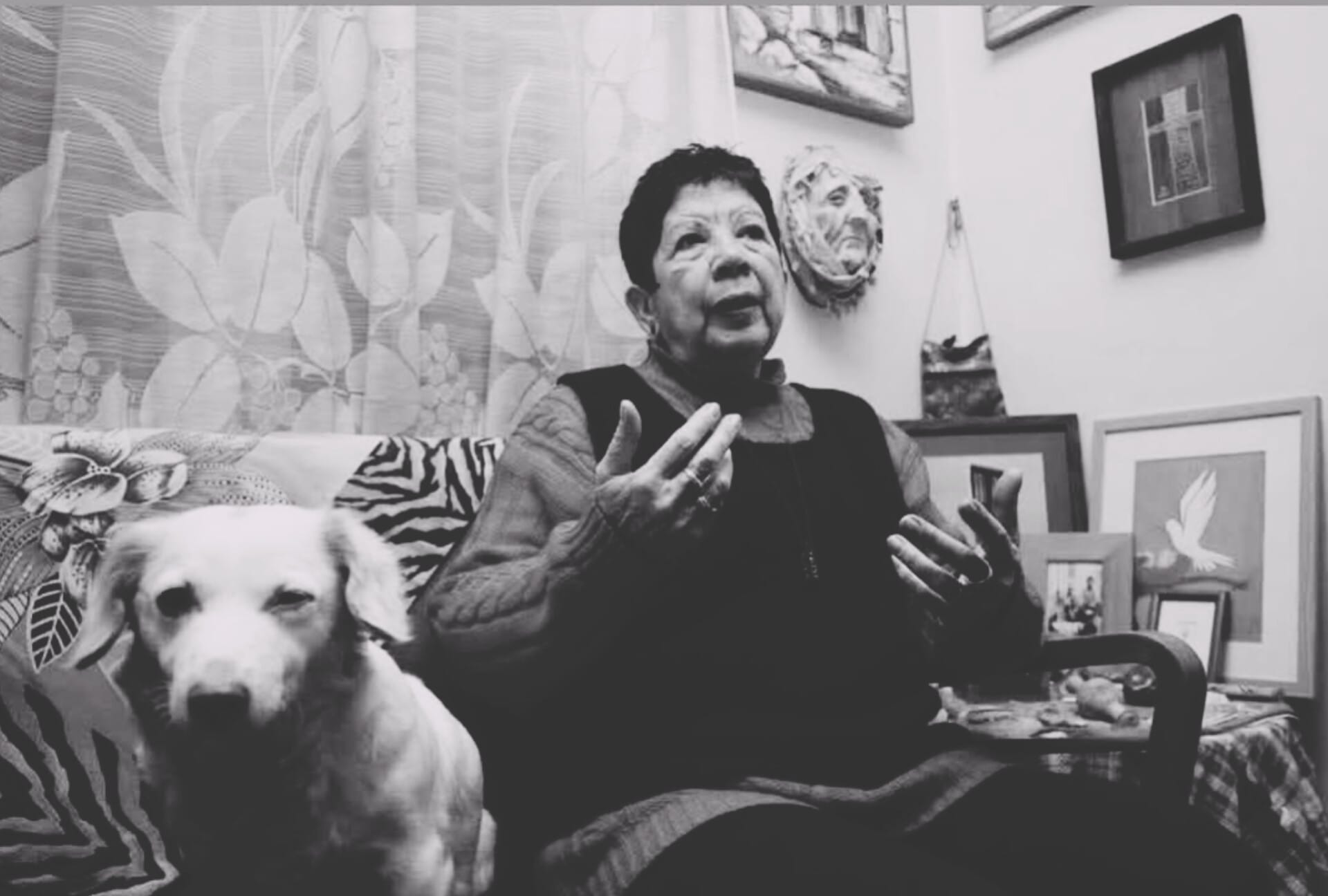 Kıbrıs Türk edebiyatının çınarı Neriman Cahit hayatını kaybetti – BRTK