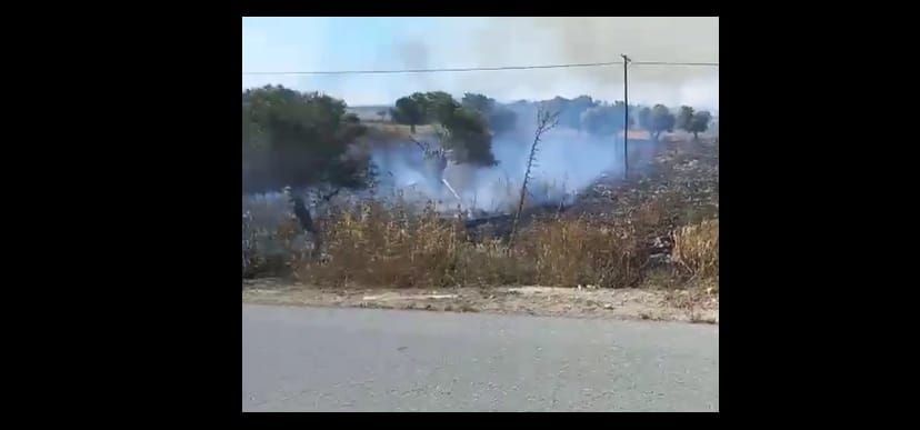 Avtepe-Kuruova arasında yangın – BRTK