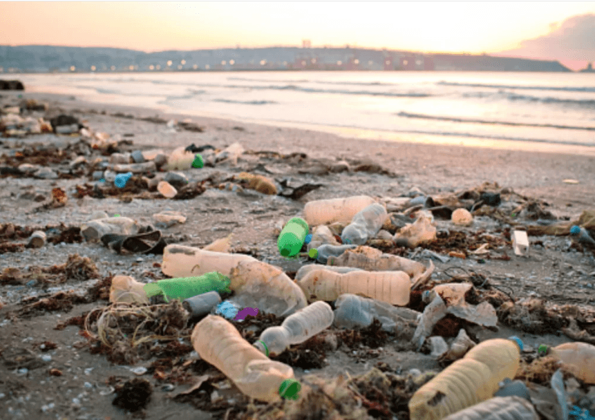 “Plastik kirliliği geleceğin en önemli sorunlarından biri” – BRTK