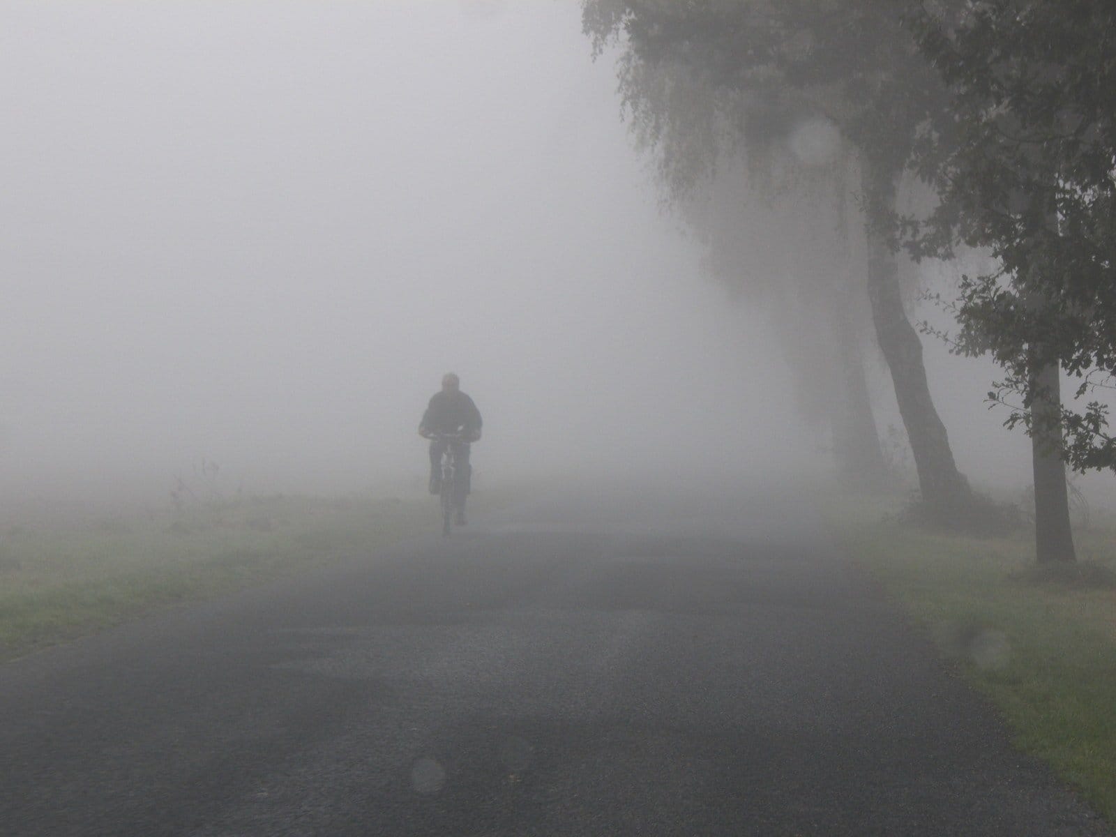 Yarından itibaren salı gününe kadar sabah saatlerinde sis bekleniyor – BRTK