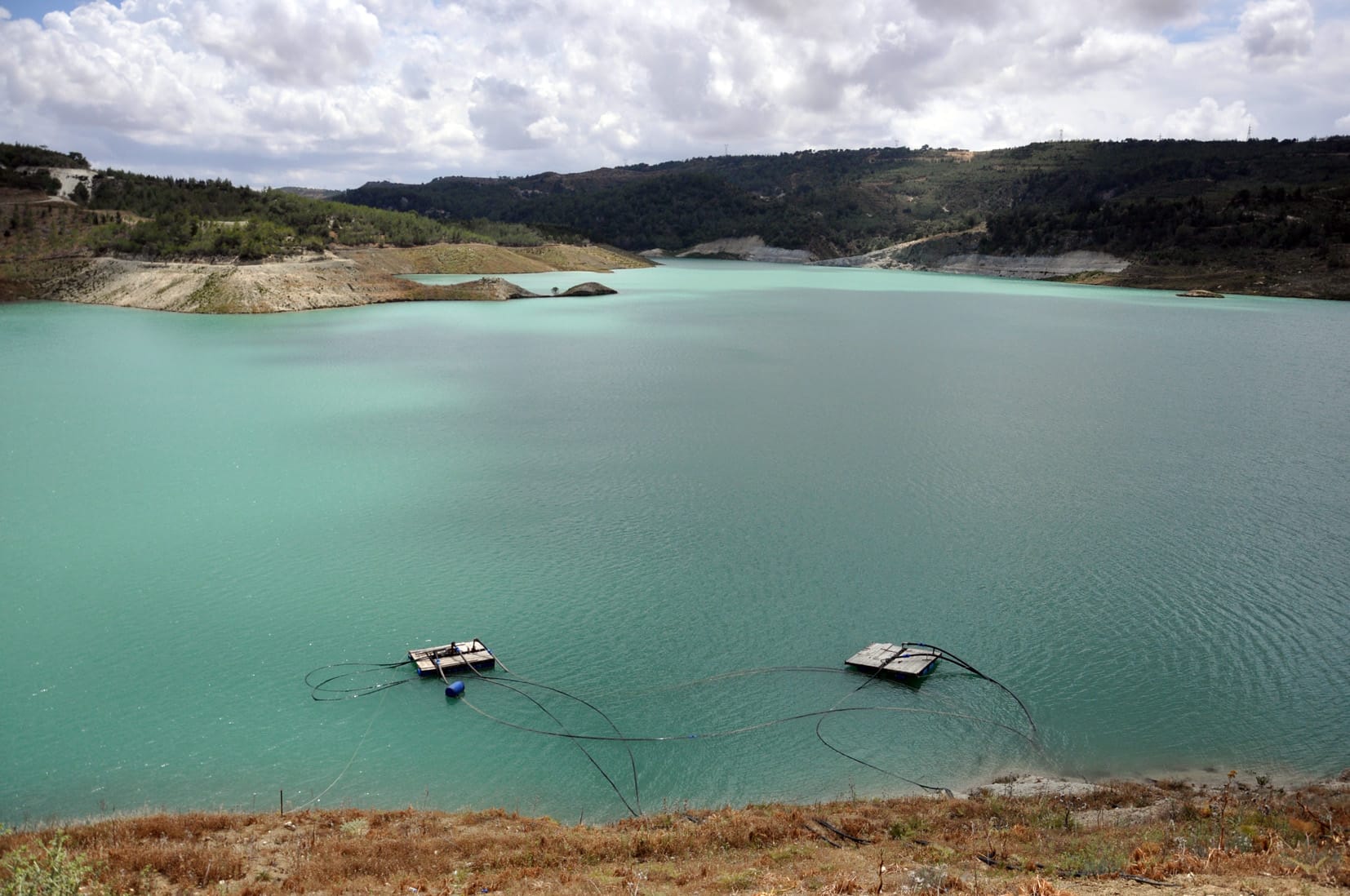 Narenciye Üreticiler Birliği’nden su dağıtımında adalet ve planlama çağrısı – BRTK
