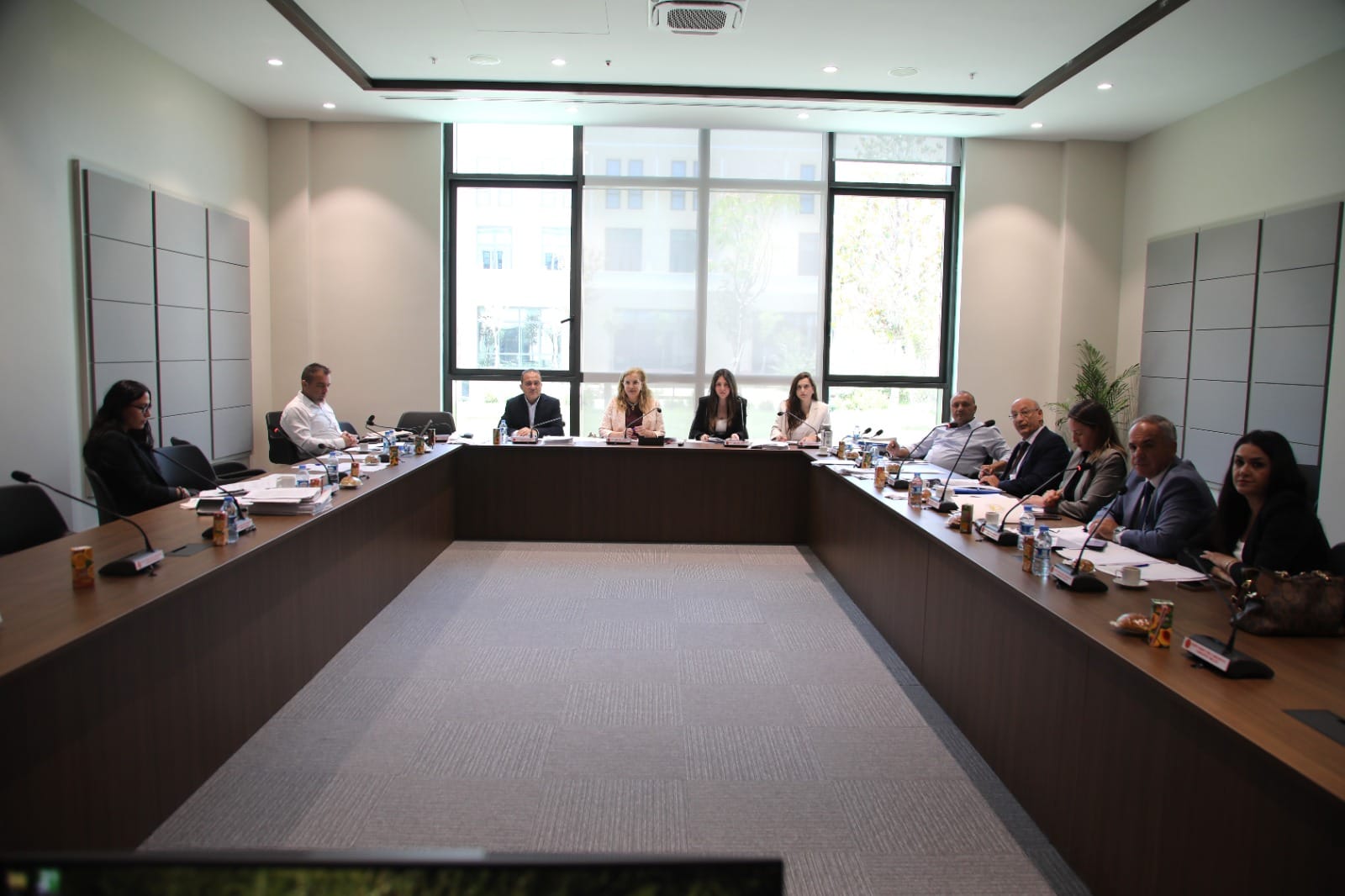 Meclis Maliye Komitesi gündemindeki yasa tasarıları ve yasa gücünde kararnameyi görüştü – BRTK