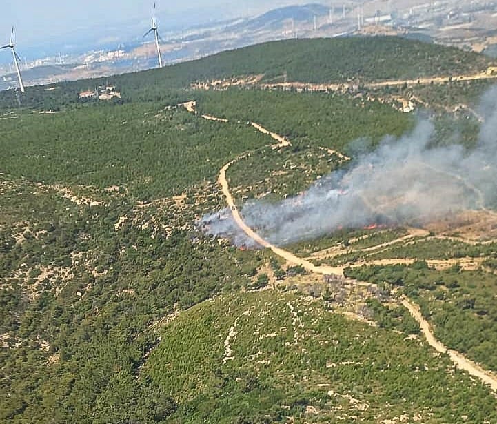 İzmir’de çıkan orman yangınına müdahale ediliyor – BRTK