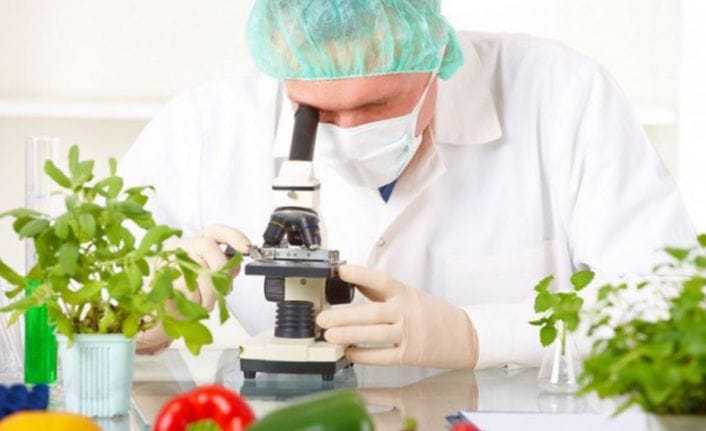 Üç yerli üründe limit üstü, bir üründe tavsiye dışı bitki koruma ürünü tespit edildi – BRTK