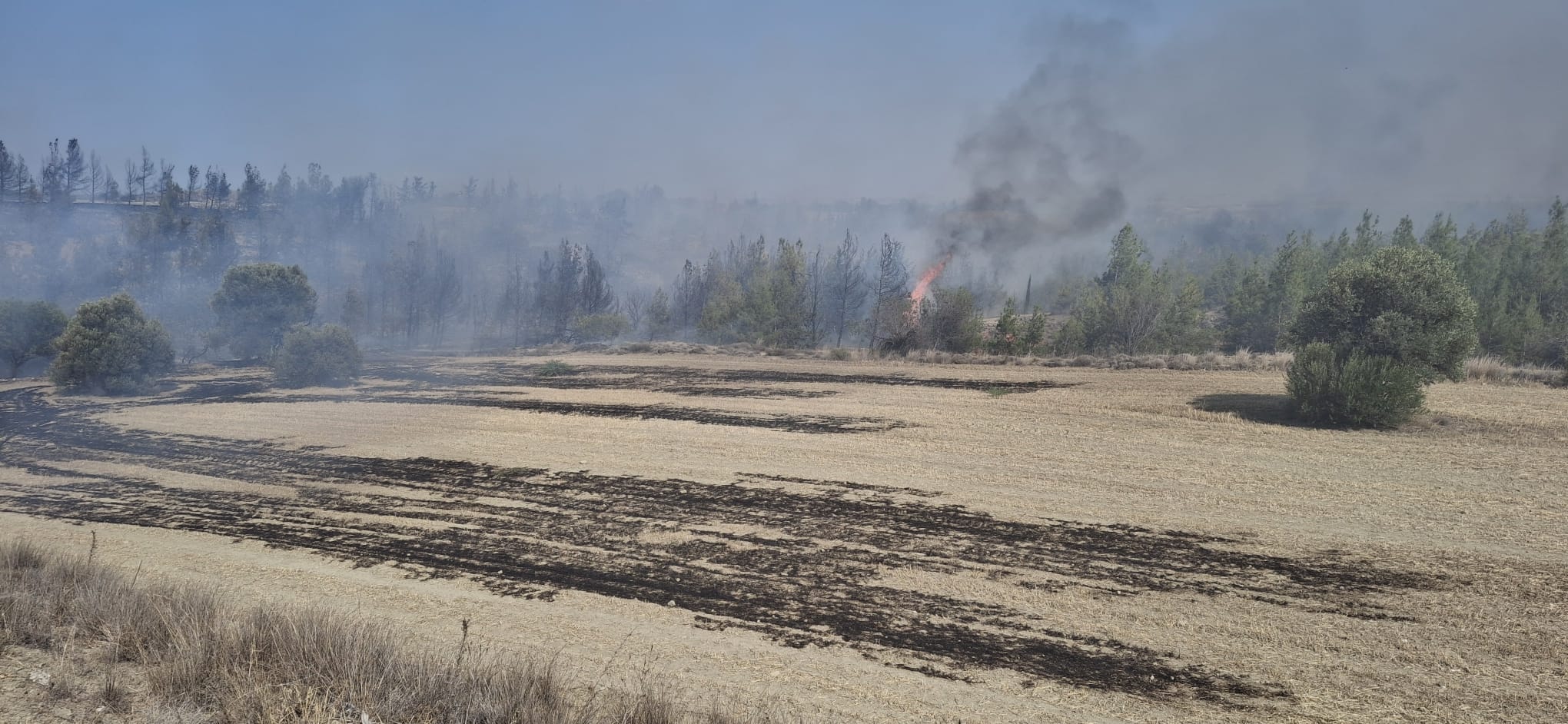 Ergenekon köyündeki yangın söndürüldü..Soğutma çalışmaları sürüyor – BRTK