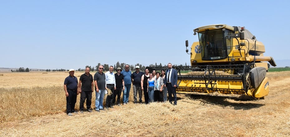 Reşatbey Arpası’nın hasadı tamamlandı – BRTK