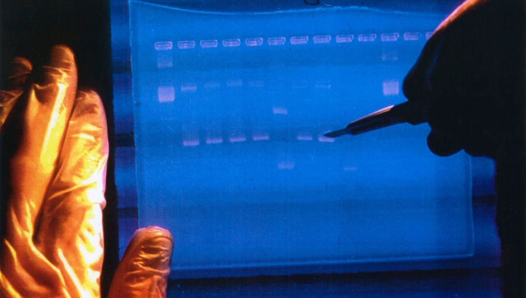 DNA’lar yeniden kodlanacak: Laboratuvarda “insan üretimi” başlıyor! – Son Dakika Teknoloji Haberleri