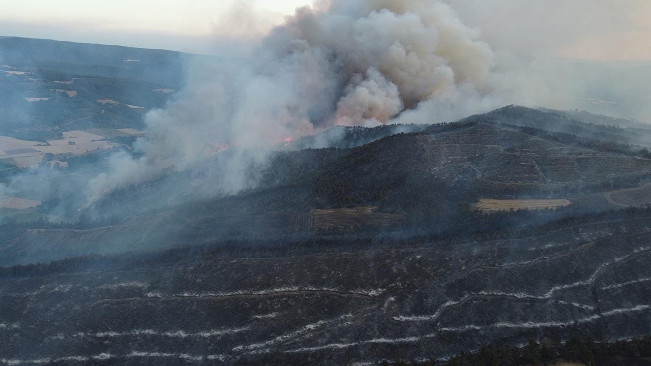 Çıkan orman yangınlarının sorumlularıyla ilgili çok titiz çalışma yapılıyor