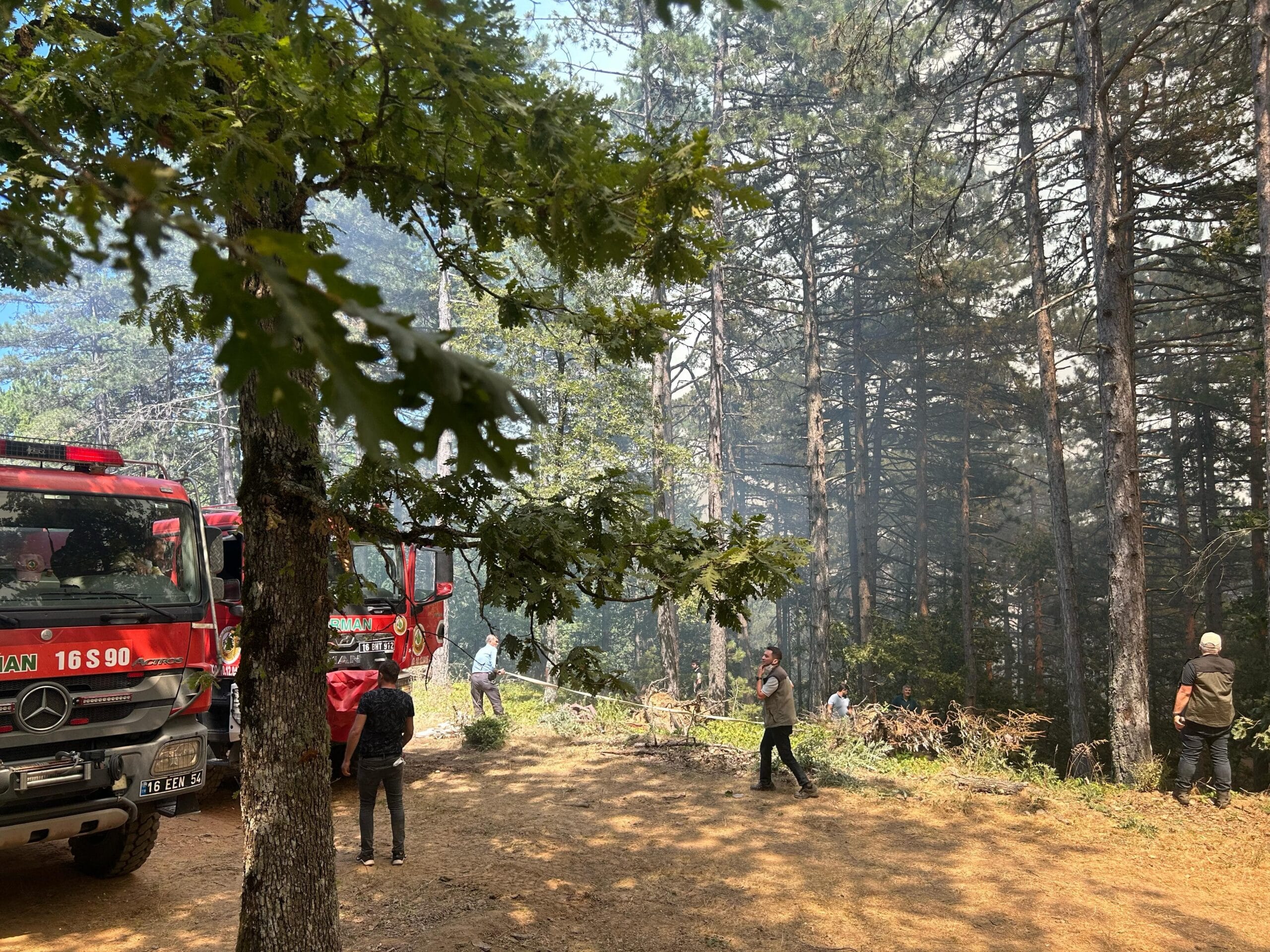 Bursa’nın 2 ilçesinde çıkan orman yangınına müdahale ediliyor – BRTK