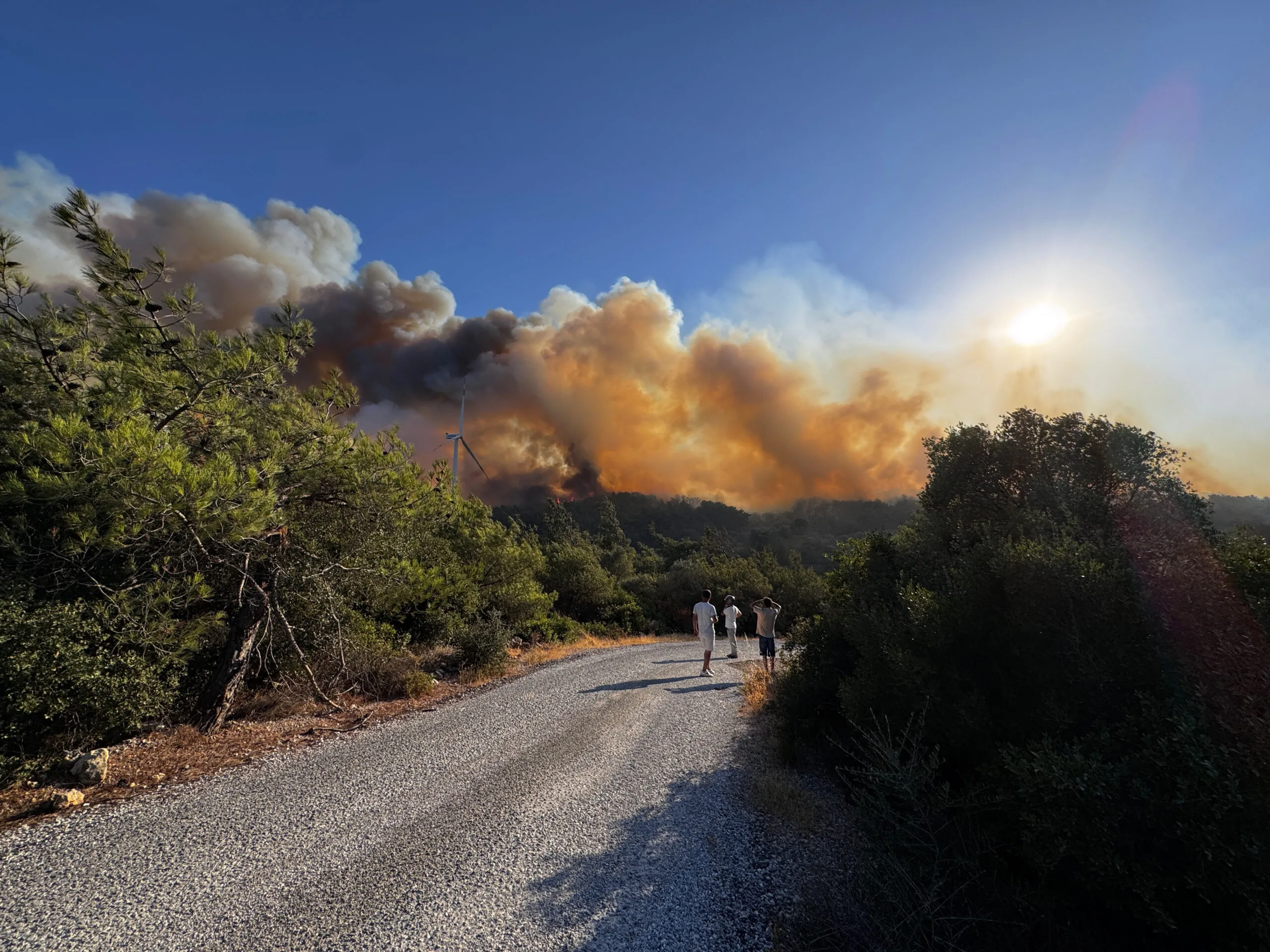 İzmir’in Urla ilçesinde orman yangını – BRTK