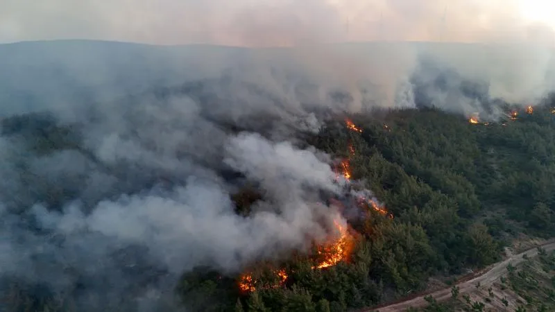 “Orman yangınlarıyla ilgili 39 kişi tutuklandı” – BRTK