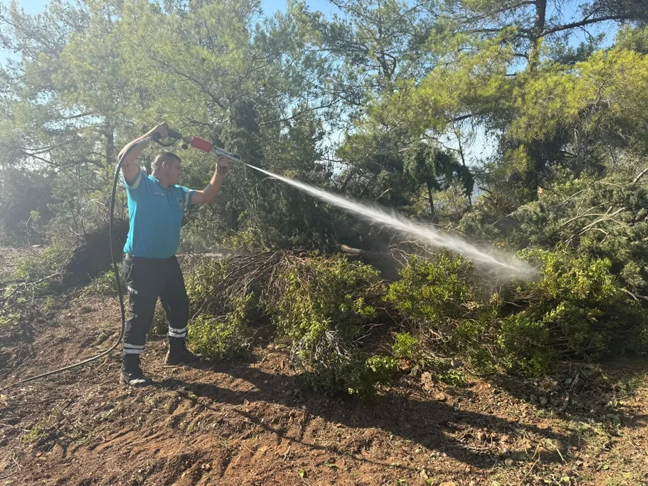 Yangın, elektrik tellerinin ağaçlara temas etmesi sonucu çıktı – BRTK