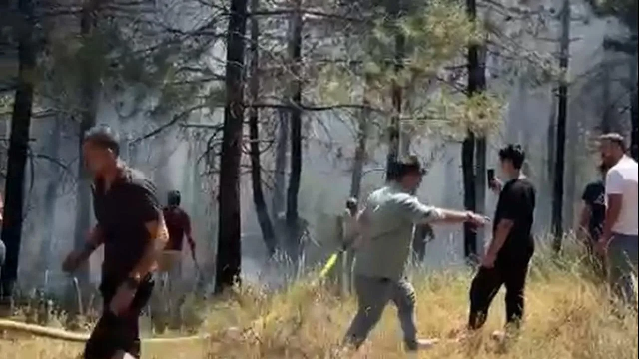 İstanbul’da Aydos Ormanı’nda yangın – Son Dakika Haberleri