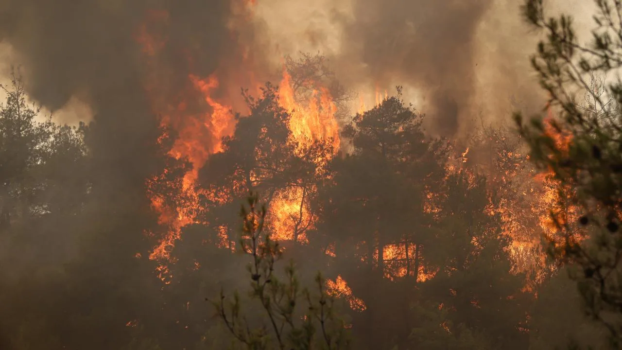 5 ilde alevlerle mücadele sürüyor