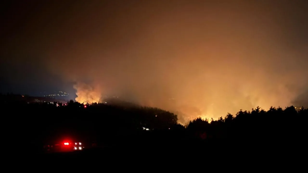 4 noktada alevlerle mücadele sürüyor