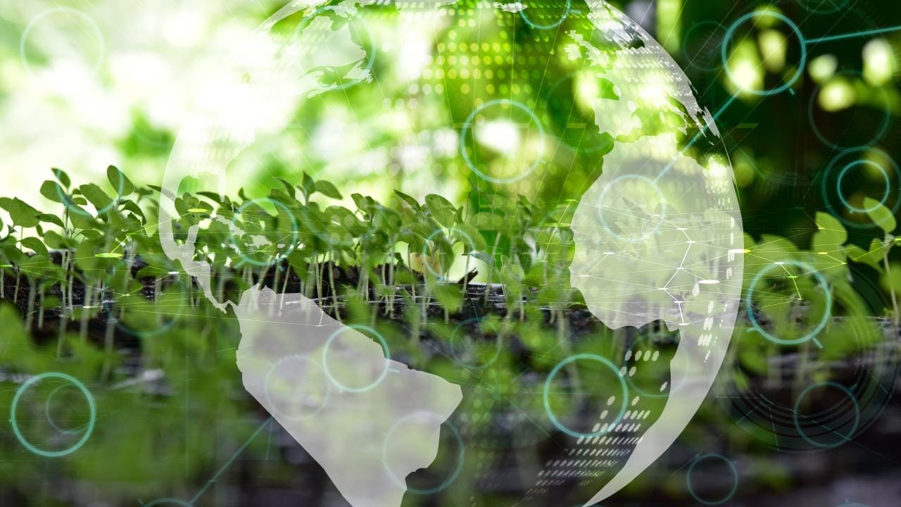 Türkiye’nin ilk “İklim Kanunu” yürürlüğe girdi