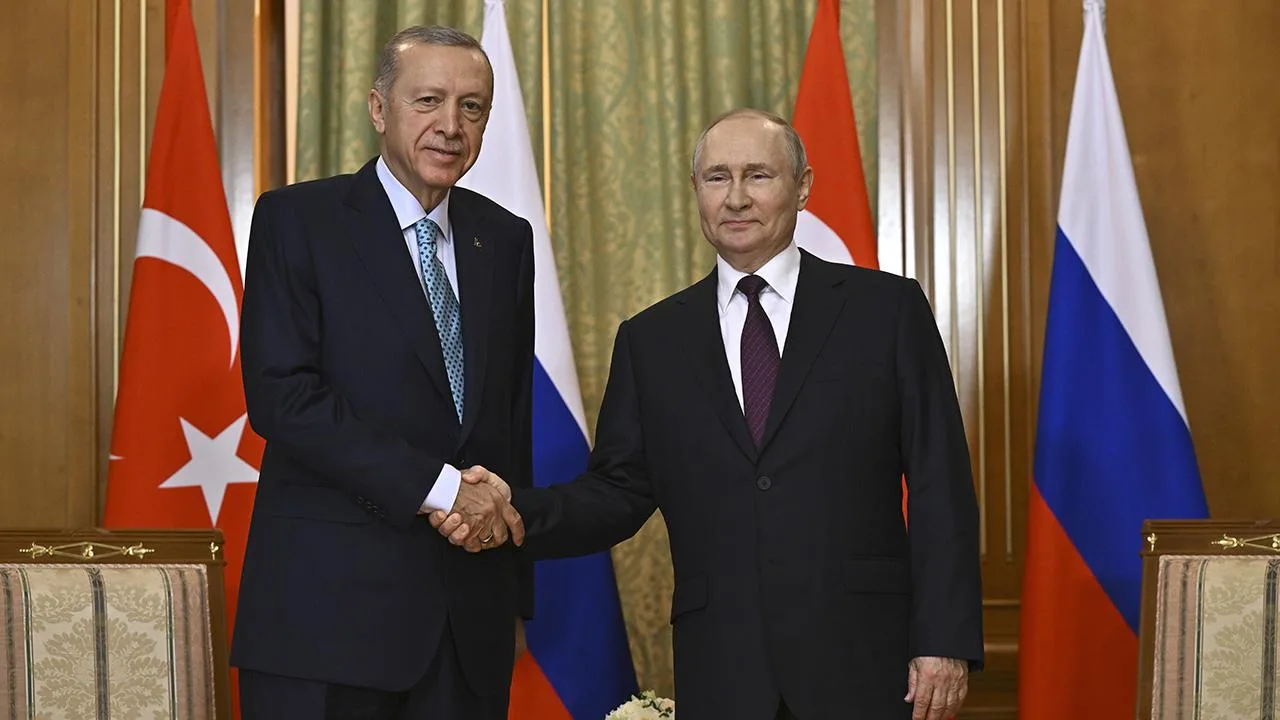 Cumhurbaşkanı Erdoğan, Rusya Devlet Başkanı Putin ile görüştü