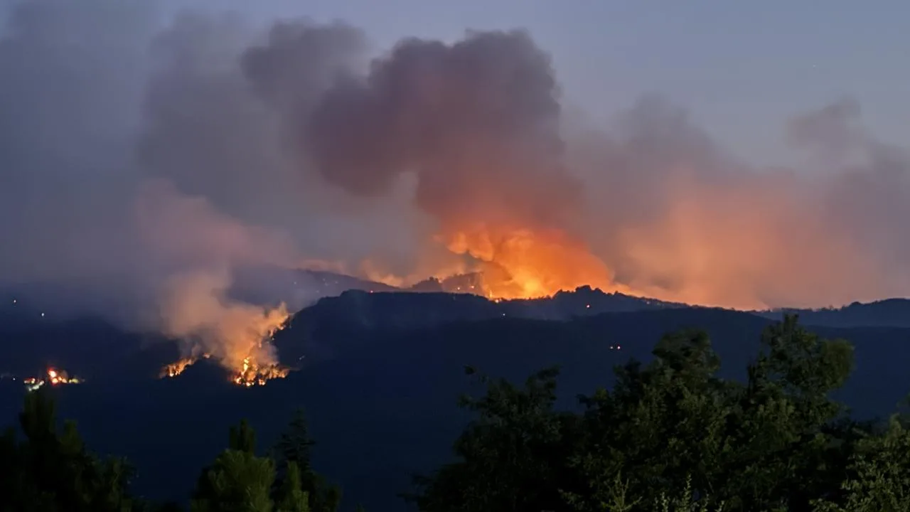 Yangınlarla ilgili 3 kişi tutuklandı