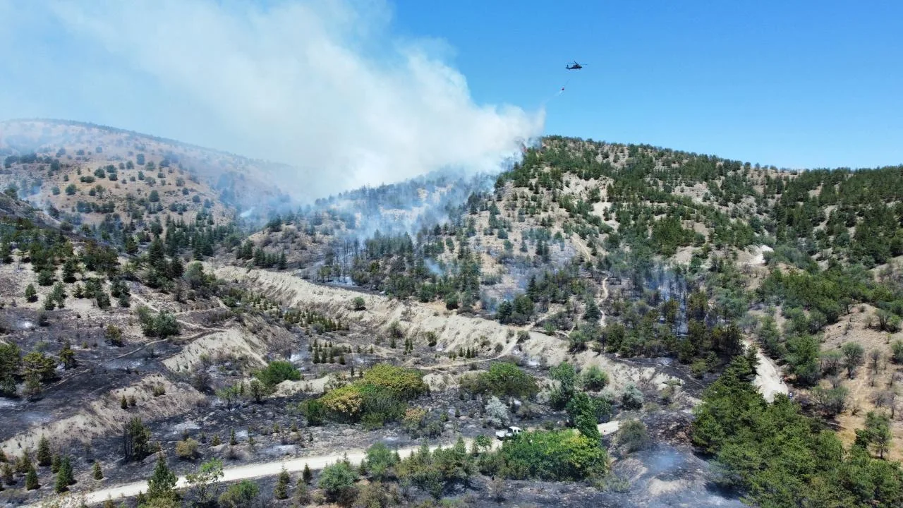 Eymir’de orman yangını – Son Dakika Haberleri