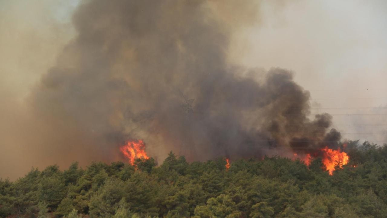Türkiye’de 5 günde 342 yangın çıktı
