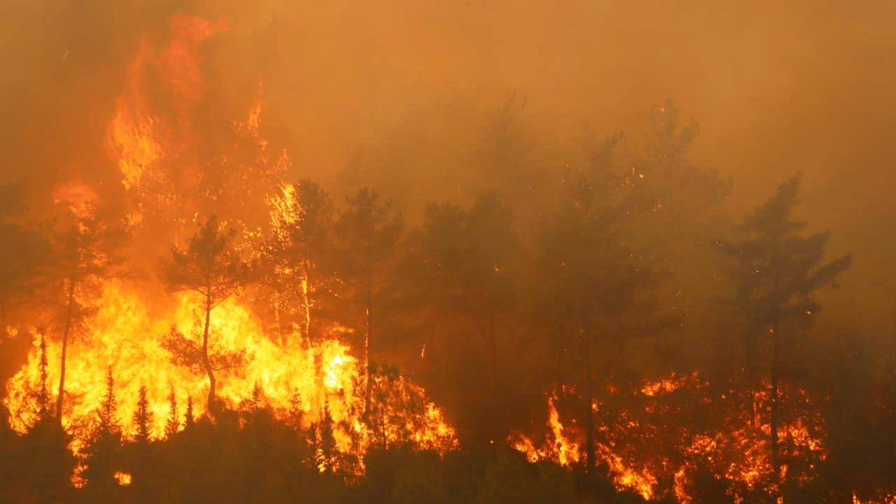 Türkiye’nin birçok ilinde çıkan orman yangınlarıyla mücadele sürüyor – BRTK