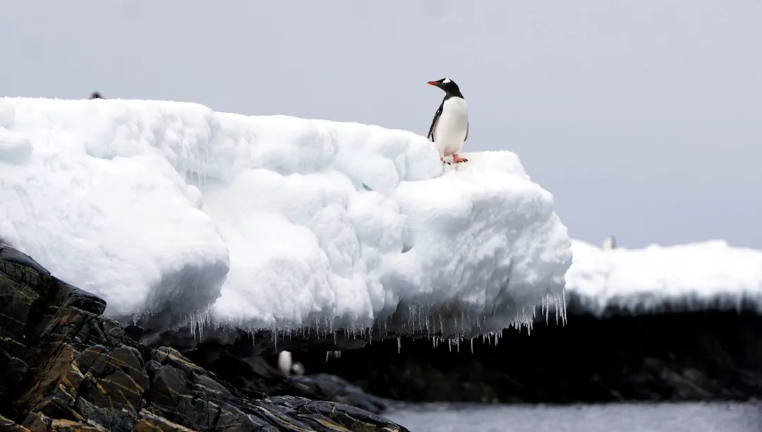 1,5 milyon yıllık buzda saklı şifre: Bilim insanları en büyük sırrı çözüyor – Son Dakika Dünya Haberleri