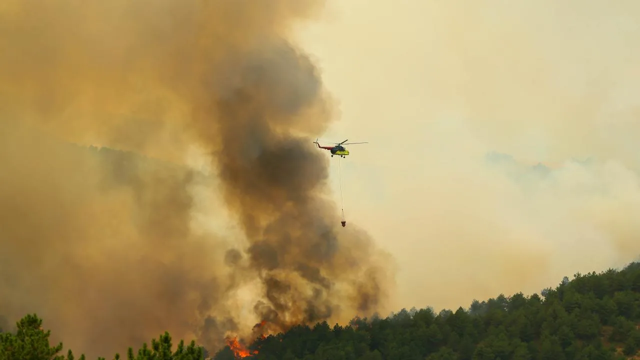 Uşak’ta orman yangını – Son Dakika Haberleri