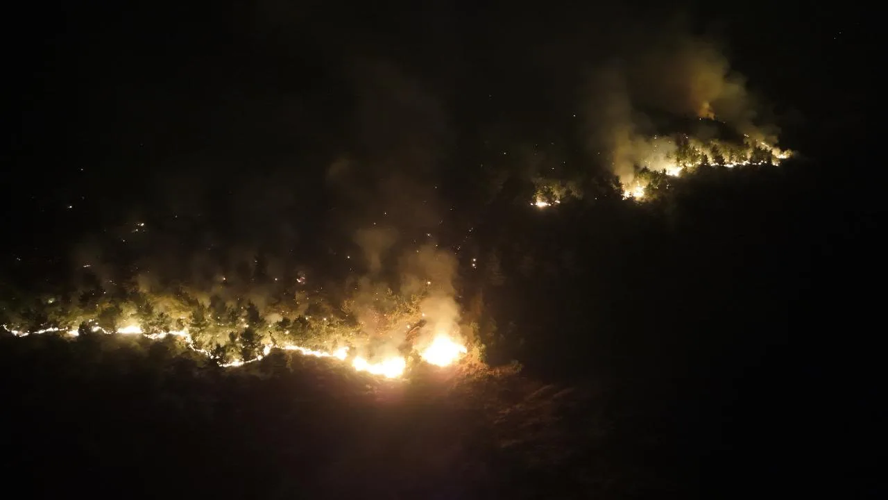 Tekirdağ'da anız yangını ormana sıçradı
