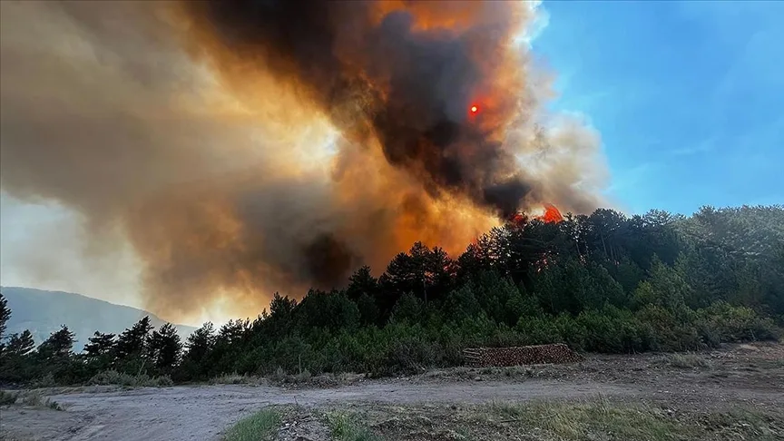 Balıkesir’de çıkan orman yangınına müdahale ediliyor – BRTK