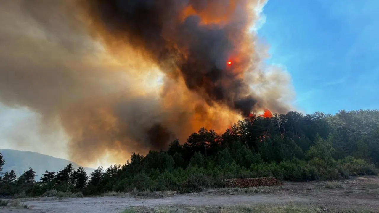 3 ilde orman yangını – Son Dakika Haberleri
