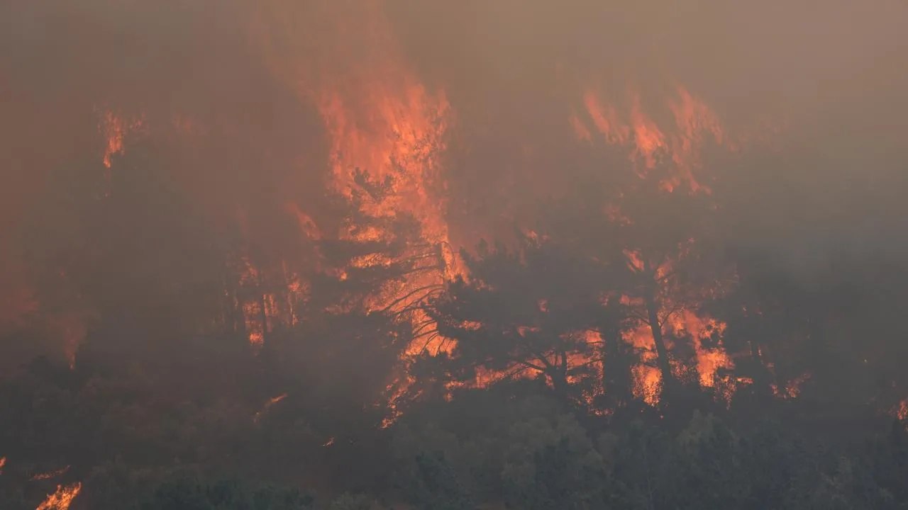 İzmir’de orman yangını – Son Dakika Haberleri