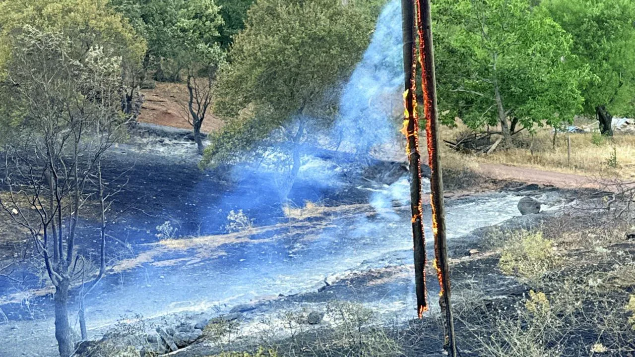 Antalya ve Manisa’da orman yangını