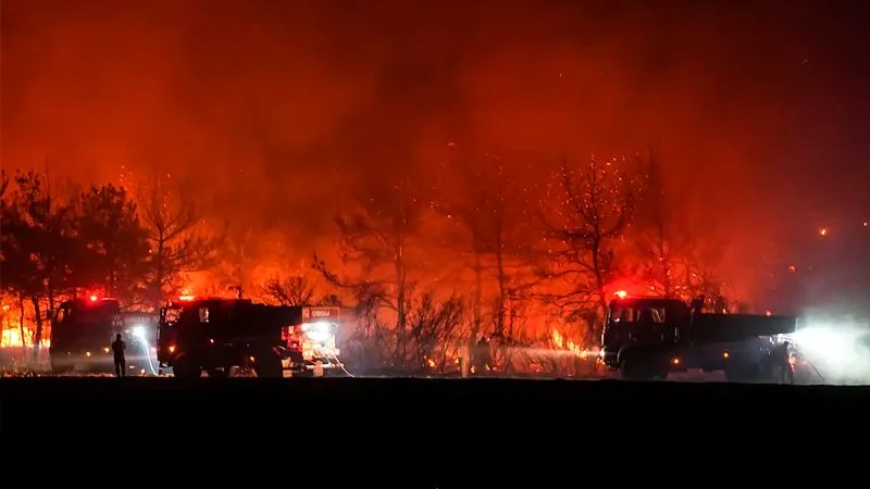 Türkiye’nin ciğerleri yanıyor. Yangınlarla mücadele devam ediyor – BRTK