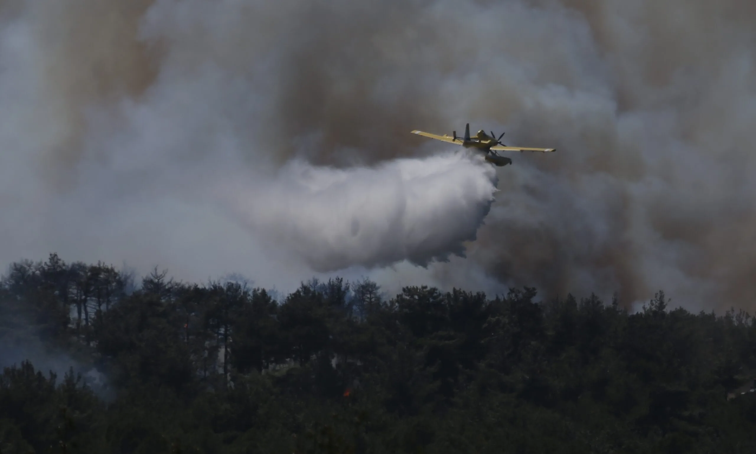 Çanakkale’de çıkan orman yangınına müdahale ediliyor – BRTK