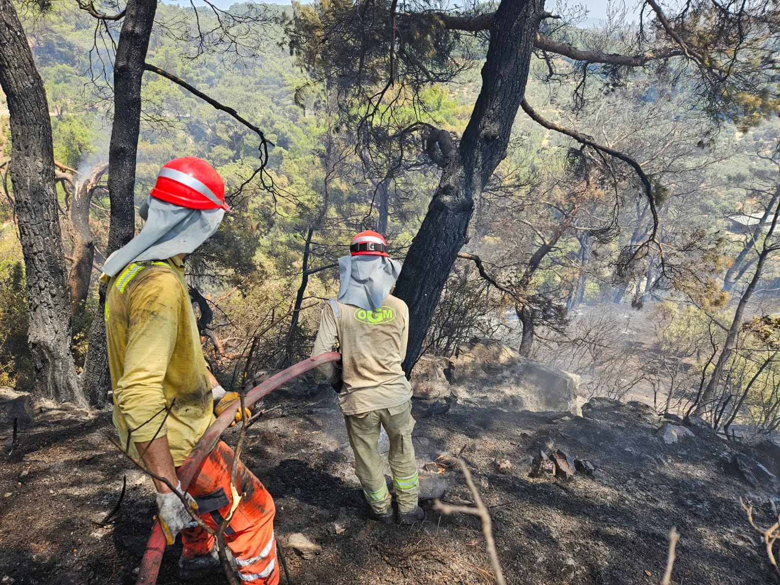 Aydın’ın Germencik ilçesinde çıkan orman yangını kontrol altına alındı – BRTK