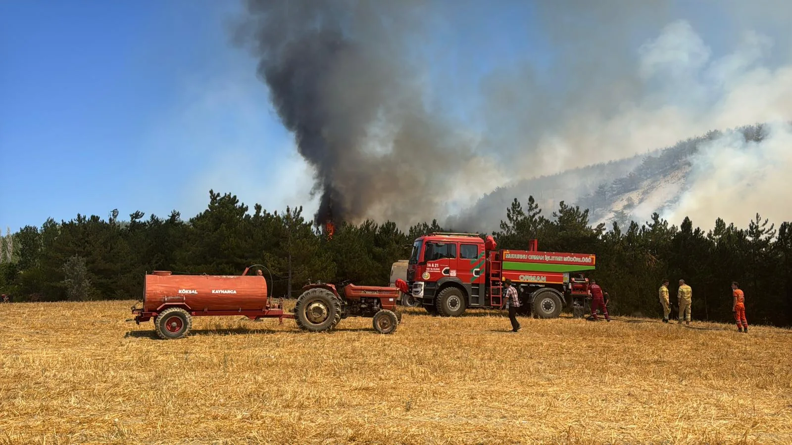Bolu’da çıkan orman yangınına müdahale ediliyor – BRTK