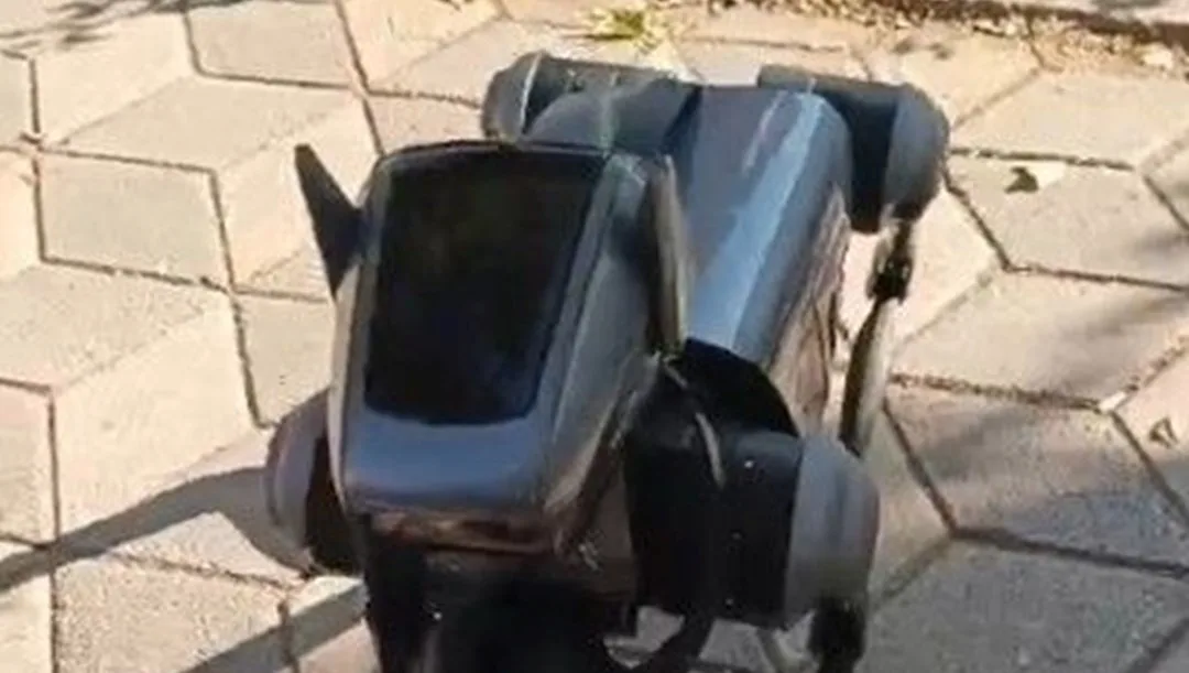 Robot köpek görenleri hayrete düşürdü – Son Dakika Teknoloji Haberleri
