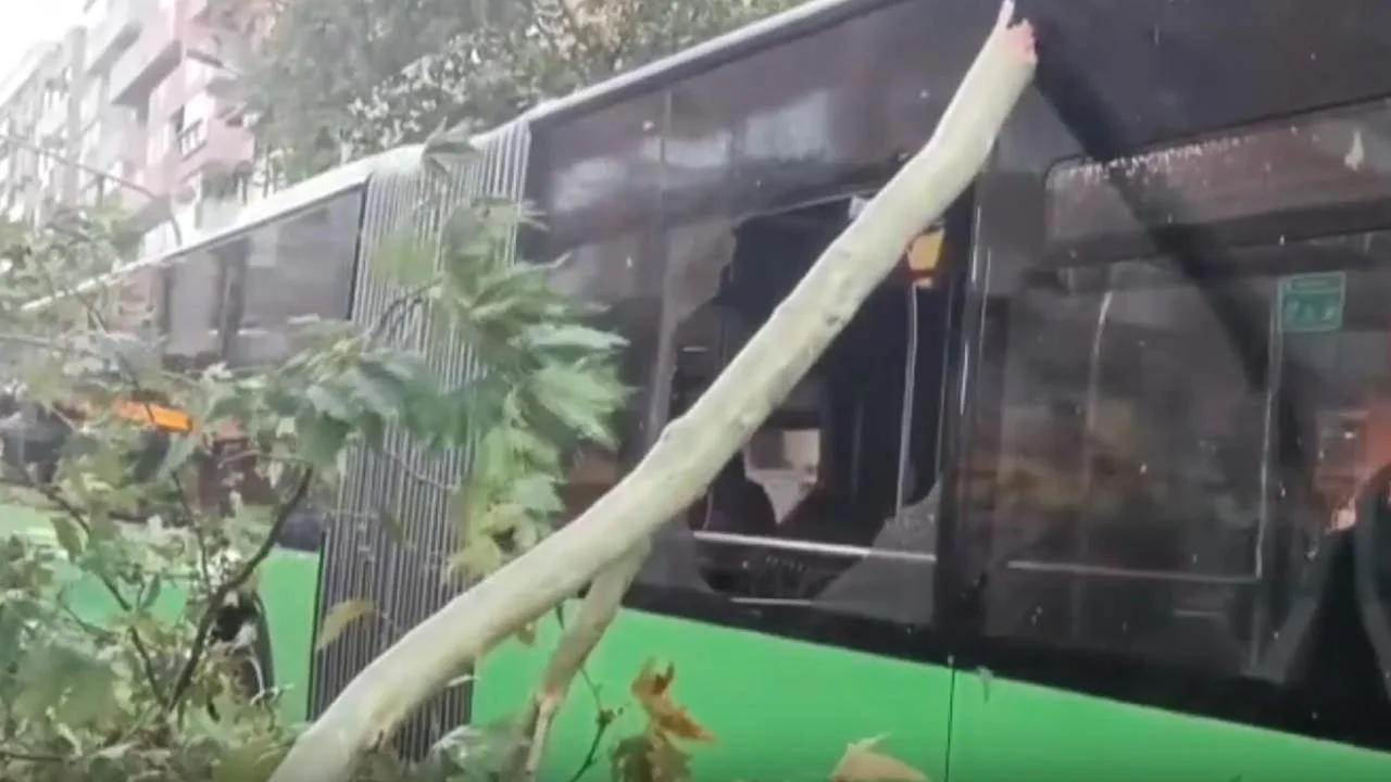 Denizli’de otobüsün üzerine ağaç devrildi