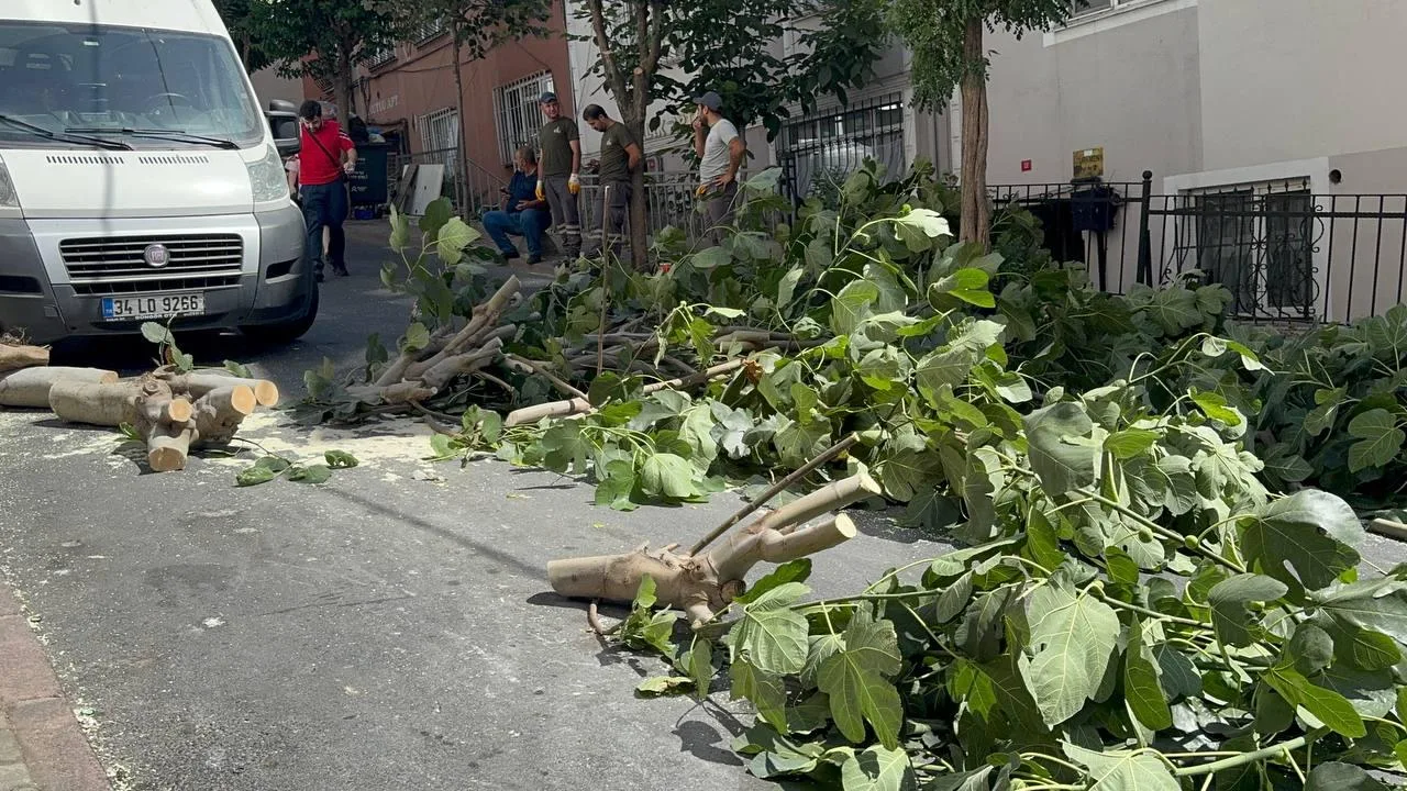 İstanbul’da fırtına: Ağaçlar devrildi, iki kişi yaralandı