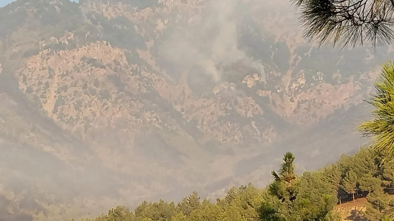 Hatay ve Mersin’de orman yangınları sürüyor