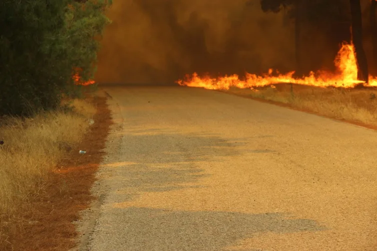 Çanakkale’de orman yangını – BRTK