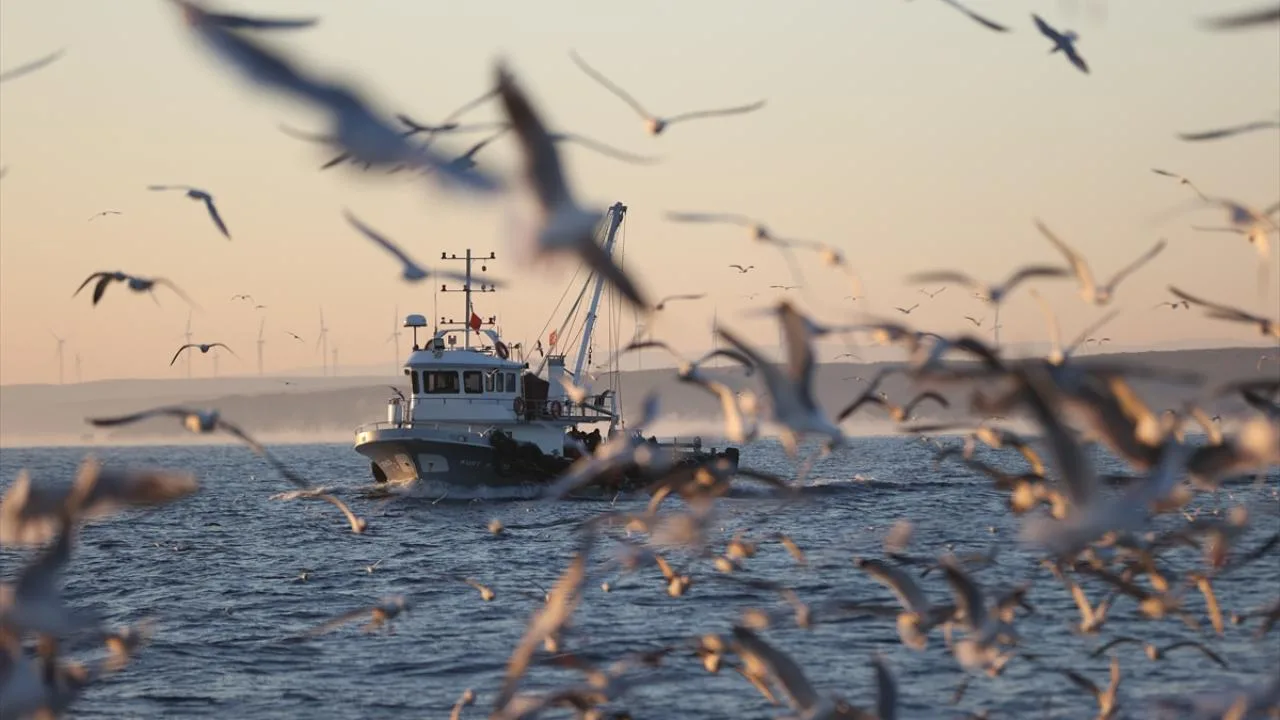 Balıkçılar “vira bismillah” dedi – Son Dakika Haberleri