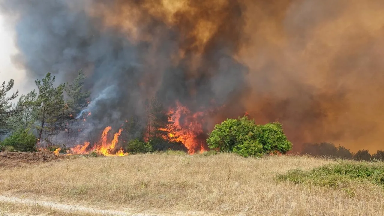 Bursa’daki orman yangını kontrol altına alındı