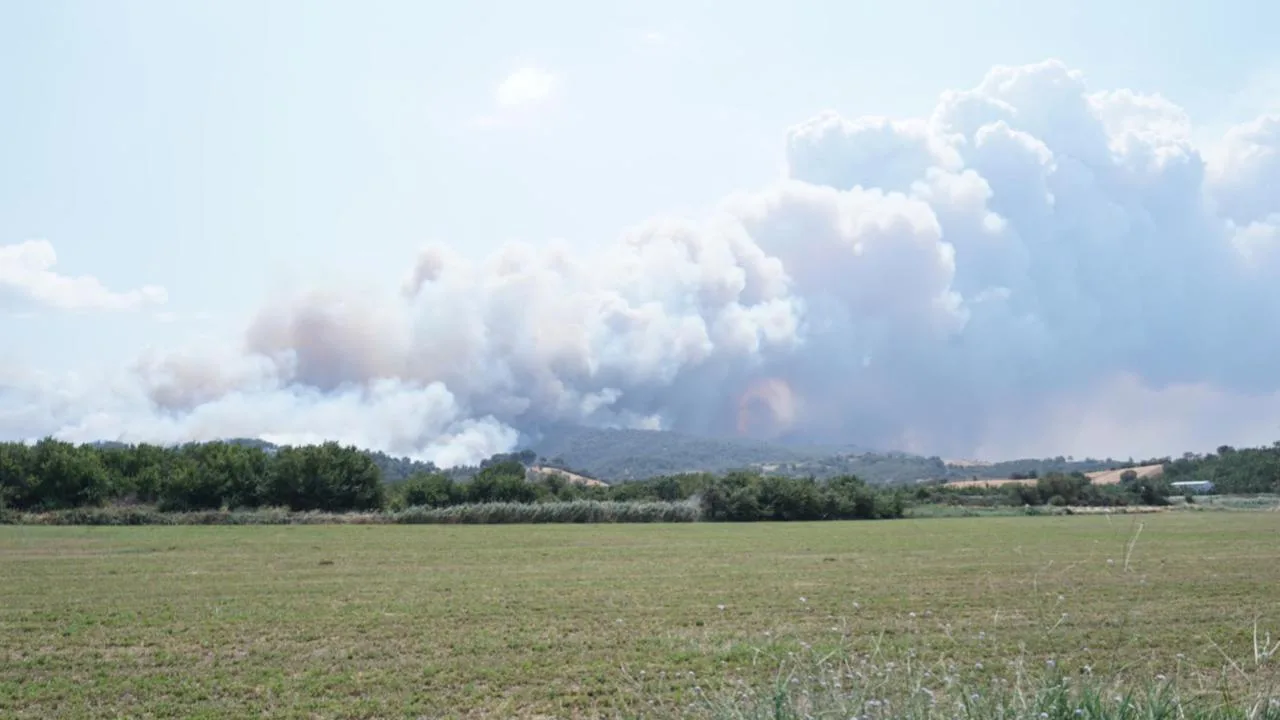 Çanakkale’de orman yangını – Son Dakika Haberleri