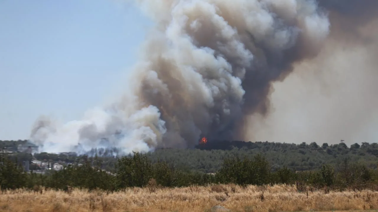 Çanakkale’de orman yangını – Son Dakika Haberleri