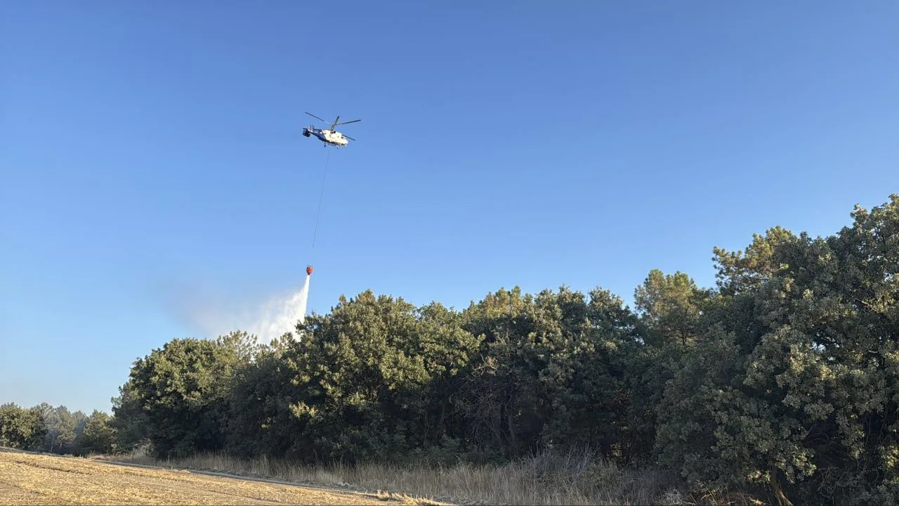 Çanakkale ve İzmir’deki orman yangınları kontrol altında