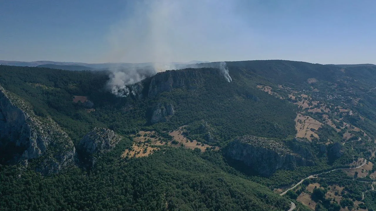 Sinop’ta orman yangını – Son Dakika Haberleri
