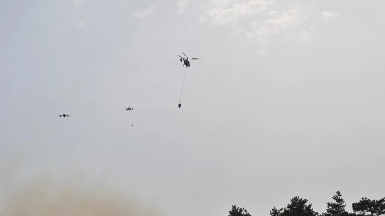 Mersin’de orman yangını – Son Dakika Haberleri