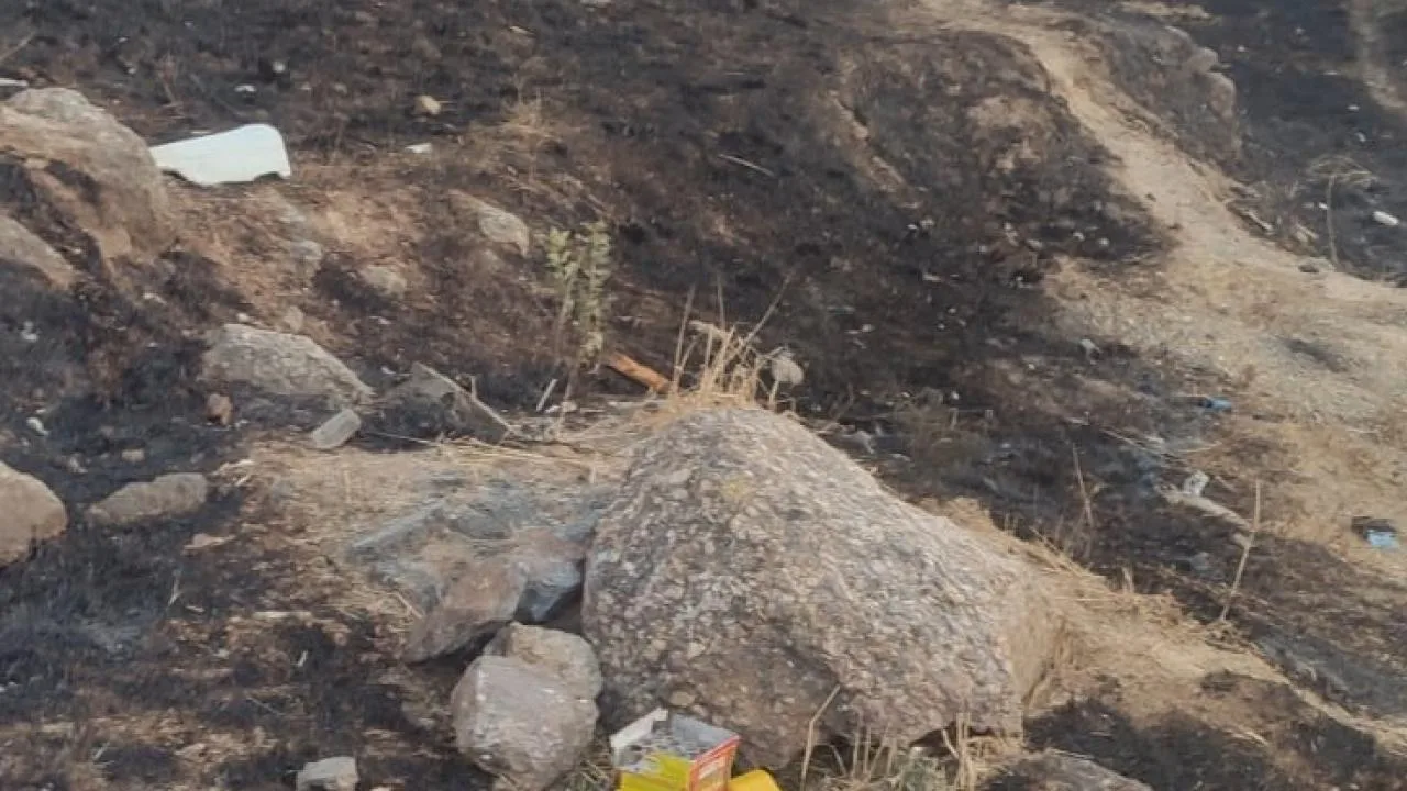 Maltepe’de havai fişek atarak yangın çıkaran zanlı tutuklandı