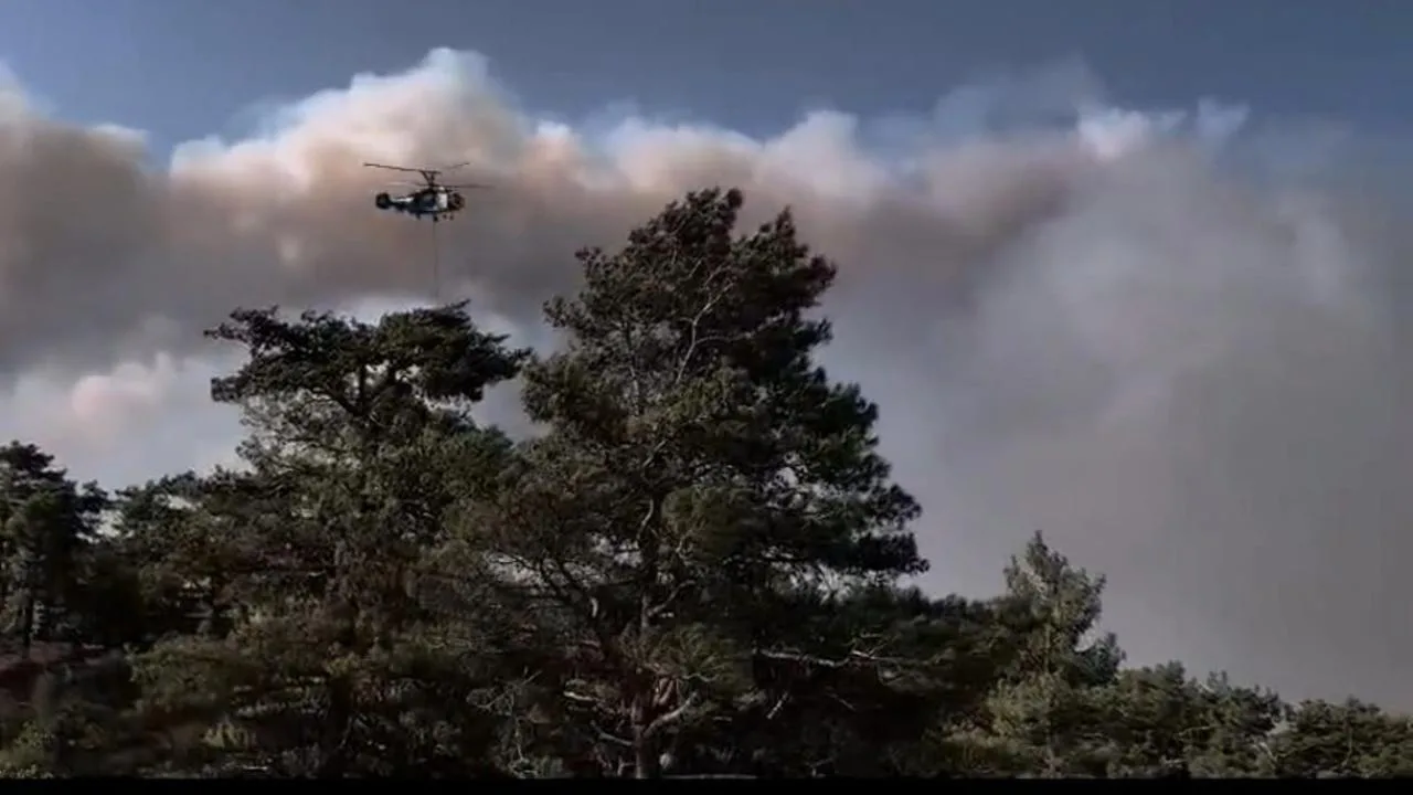 Yeşin Vatanda alevlerle mücadele sürüyor
